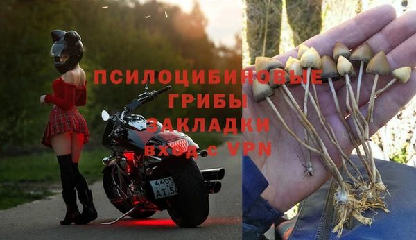 шишки Балабаново