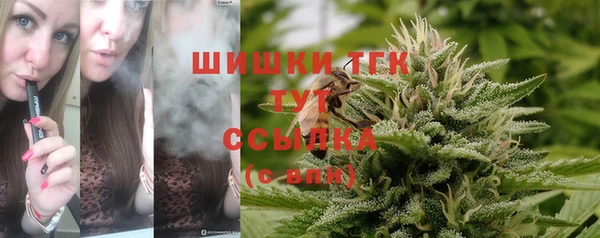 шишки Балабаново