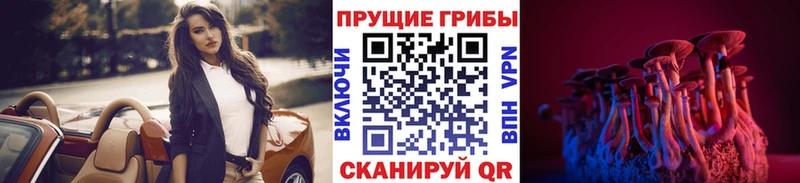 Галлюциногенные грибы Psilocybine cubensis Семёнов